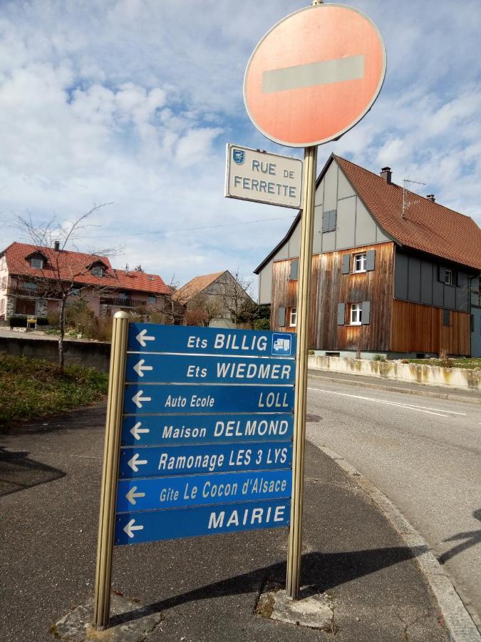 ホテル Le Cocon D'Alsace Folgensbourg エクステリア 写真